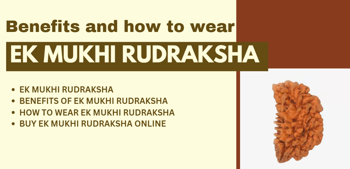 Ek Mukhi Rudraksha Beads: Benefits and How To Wear Them